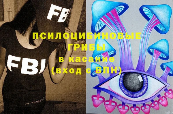 бошки Мегион