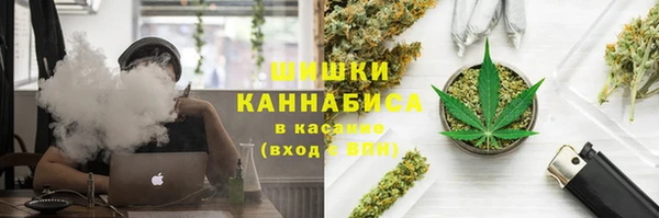 бошки Мегион