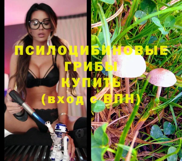 ALPHA PVP Медвежьегорск