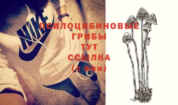 ALPHA PVP Медвежьегорск