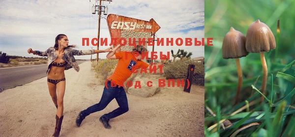 ALPHA PVP Медвежьегорск