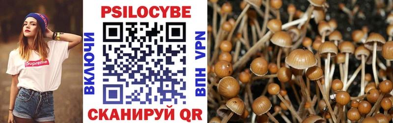 Псилоцибиновые грибы мицелий  Чебаркуль 