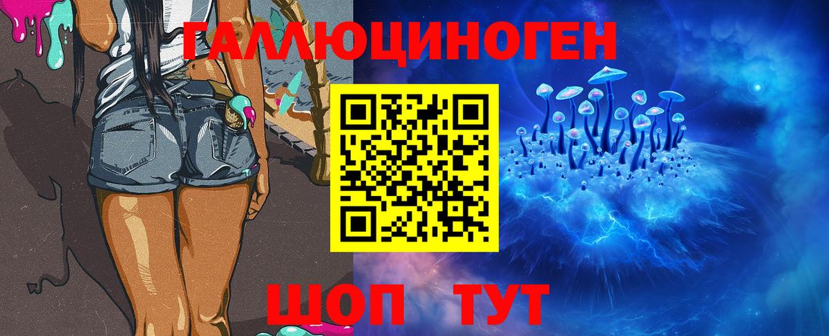 купить закладку  Псилоцибиновые грибы ЛСД  Чебаркуль  Вход с VPN  Галлюциногенные грибы Psilocybe 