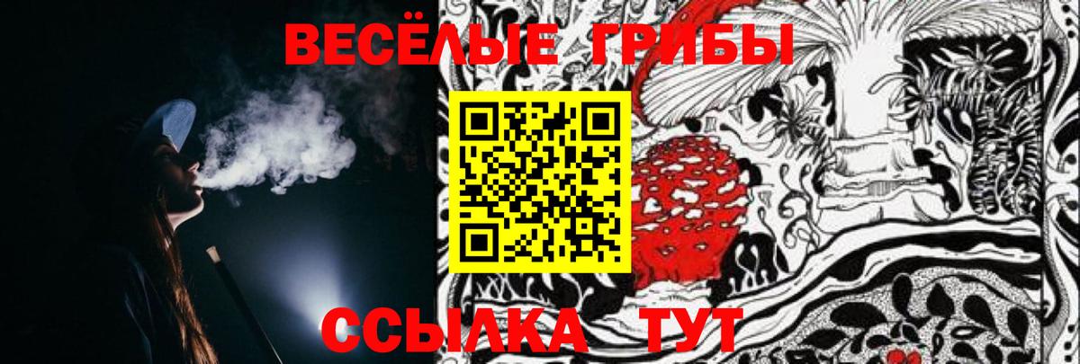 Галлюциногенные грибы Magic Shrooms Чебаркуль